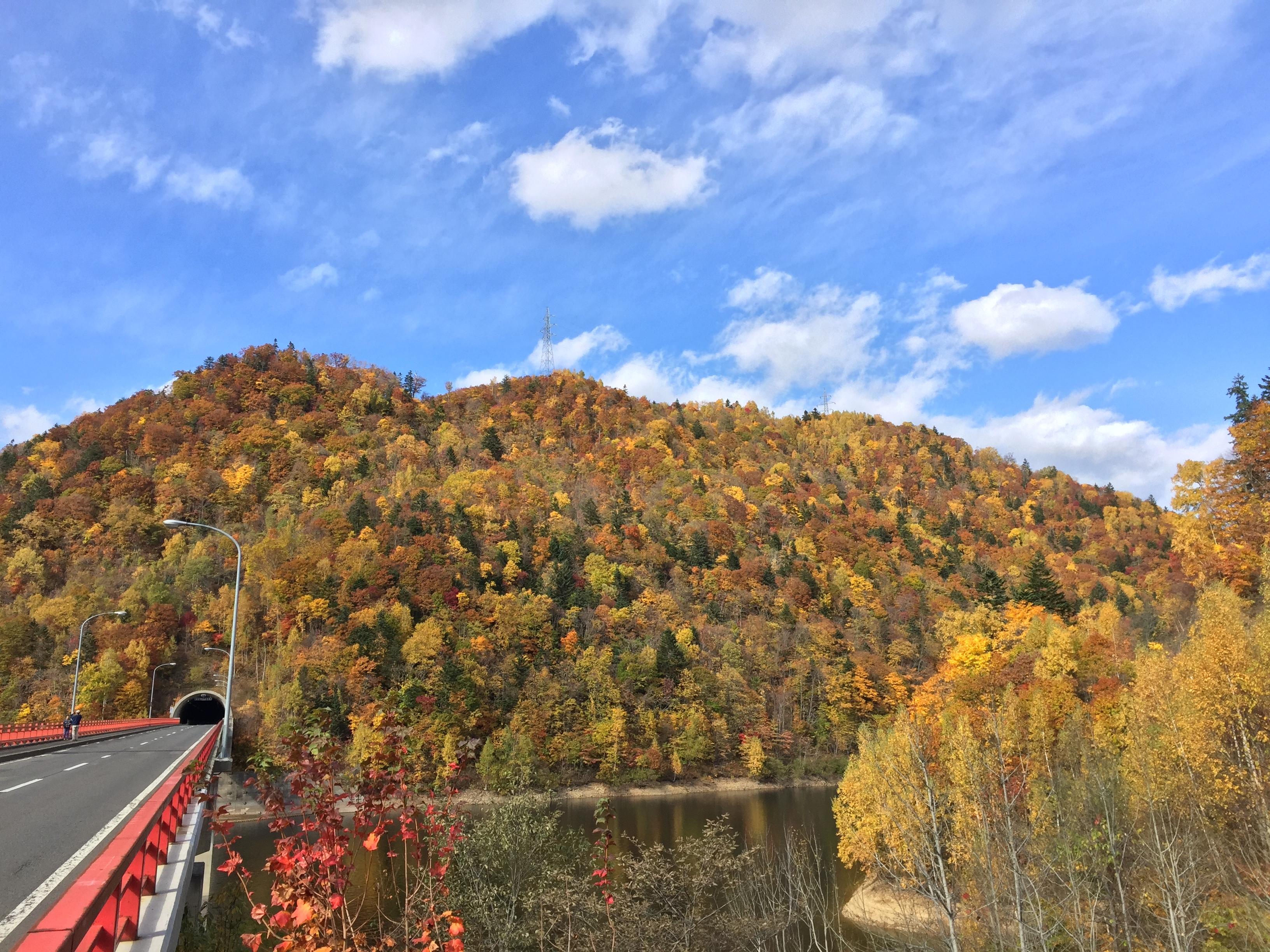 タクシーで紅葉見物はいかがですか？